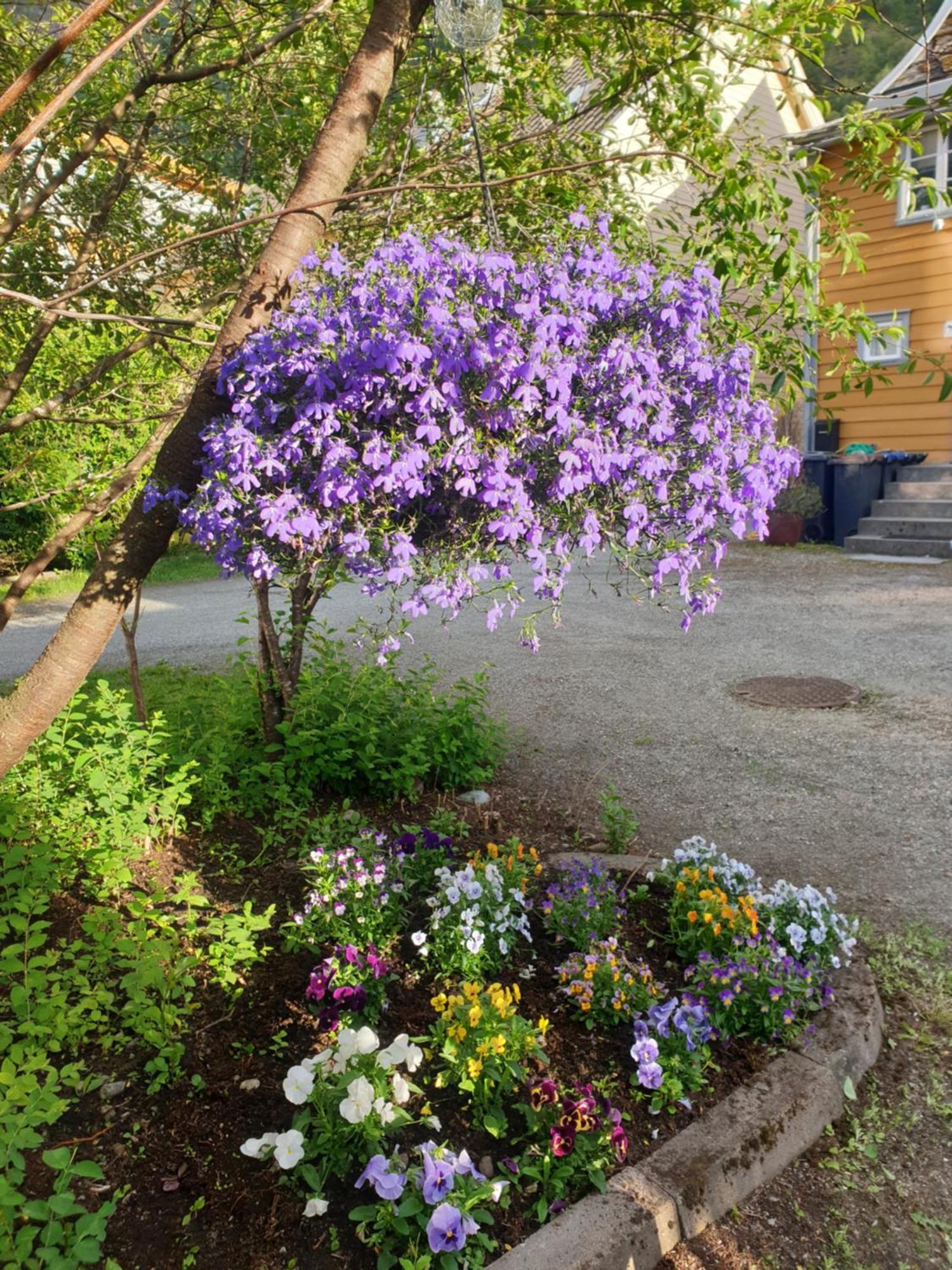 Kvammehuset Pa Gamle Laerdalsoyri Villa Eksteriør bilde