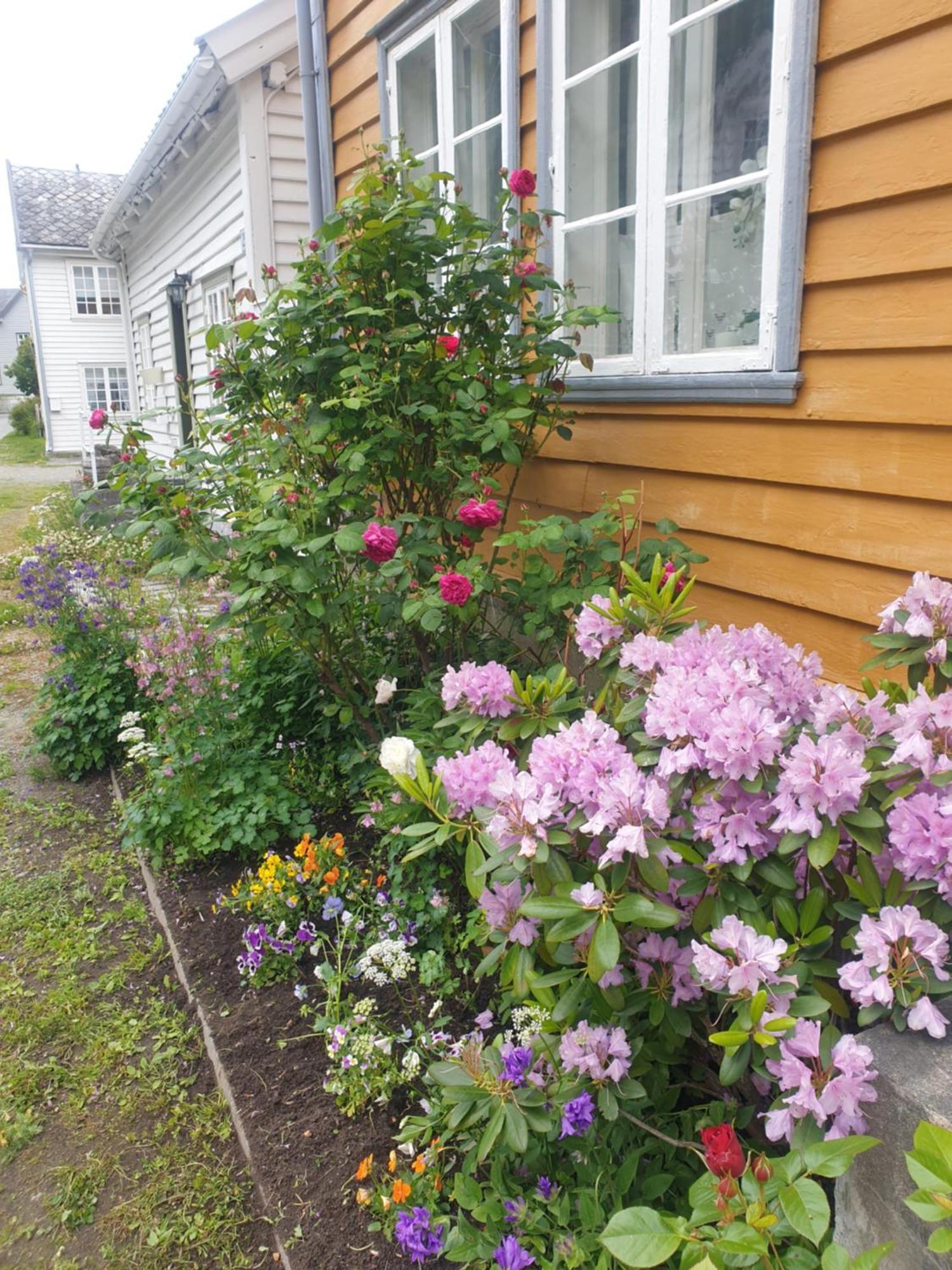 Kvammehuset Pa Gamle Laerdalsoyri Villa Eksteriør bilde
